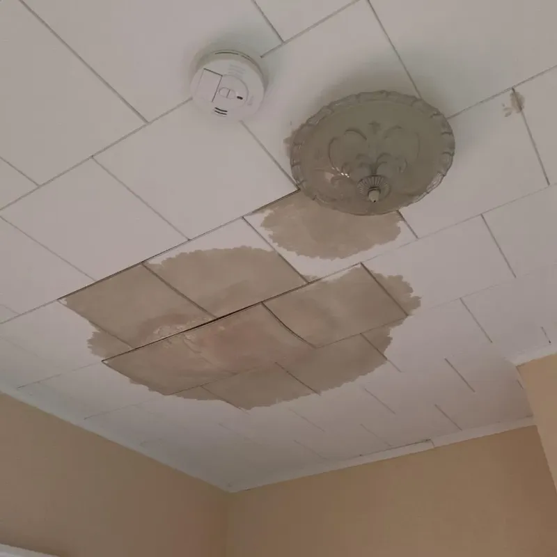 Ceiling Water Damage Repair in North Plainfield, NJ