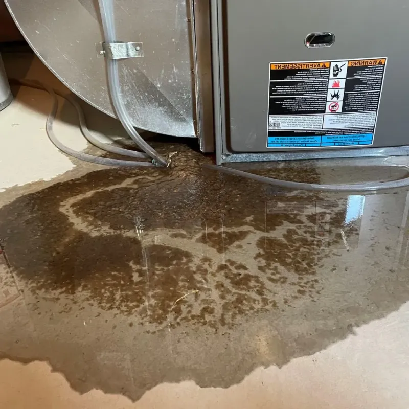 Pipe Burst and Leak Restoration in North Plainfield, NJ