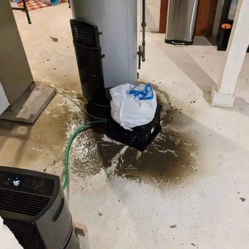 Sewage Backup Cleanup Service in North Plainfield, NJ